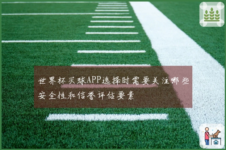 世界杯买球APP选择时需要关注哪些安全性和信誉评估要素
