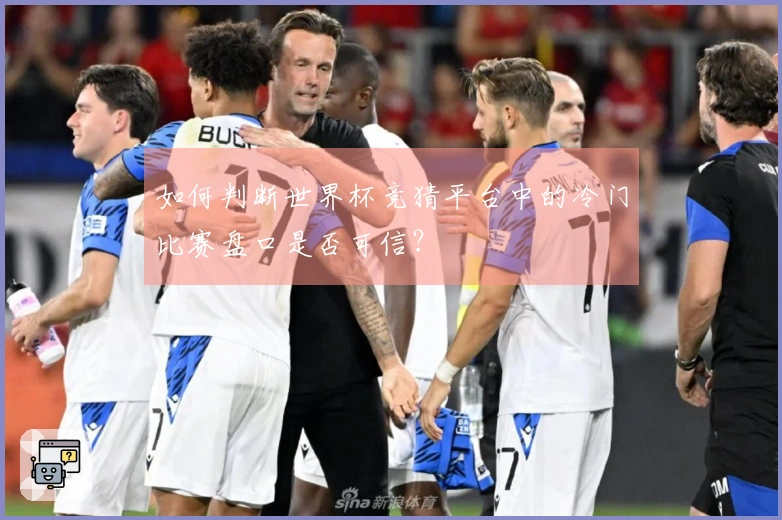 如何判断世界杯竞猜平台中的冷门比赛盘口是否可信？