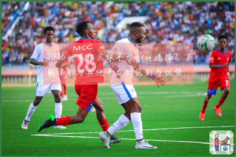 2026世界杯买球平台如何选择？了解体彩与其他平台的区别与优势
