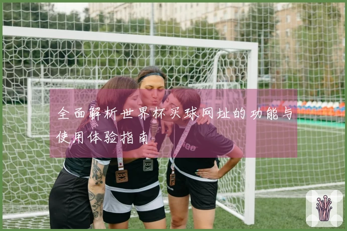 全面解析世界杯买球网址的功能与使用体验指南
