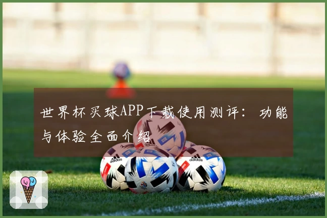 世界杯买球APP下载使用测评：功能与体验全面介绍
