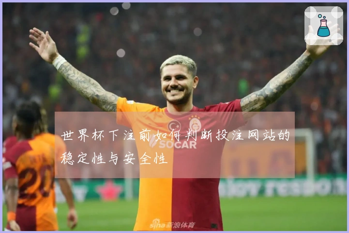 世界杯下注前如何判断投注网站的稳定性与安全性