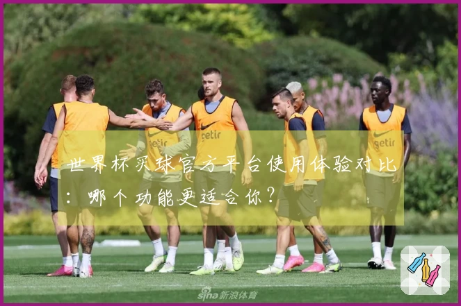 世界杯买球官方平台使用体验对比：哪个功能更适合你？