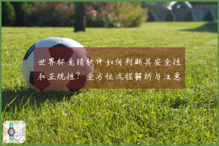 世界杯竞猜软件如何判断其安全性和正规性？全方位流程解析与注意事项