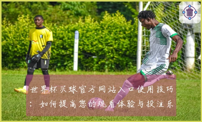 世界杯买球官方网站入口使用技巧：如何提高您的观看体验与投注乐趣