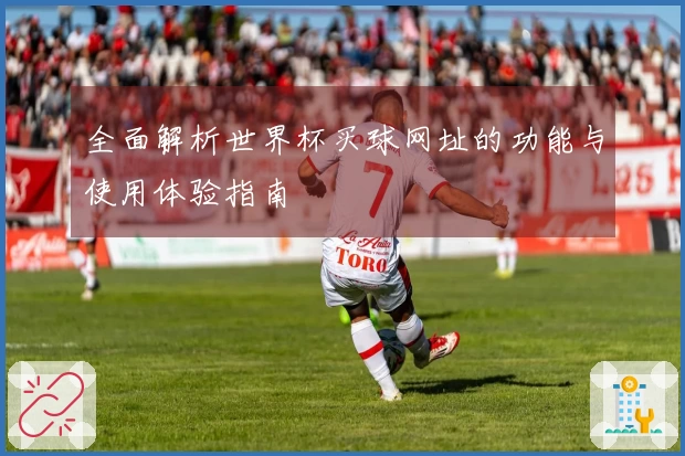 全面解析世界杯买球网址的功能与使用体验指南