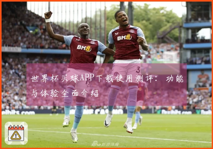 世界杯买球APP下载使用测评：功能与体验全面介绍