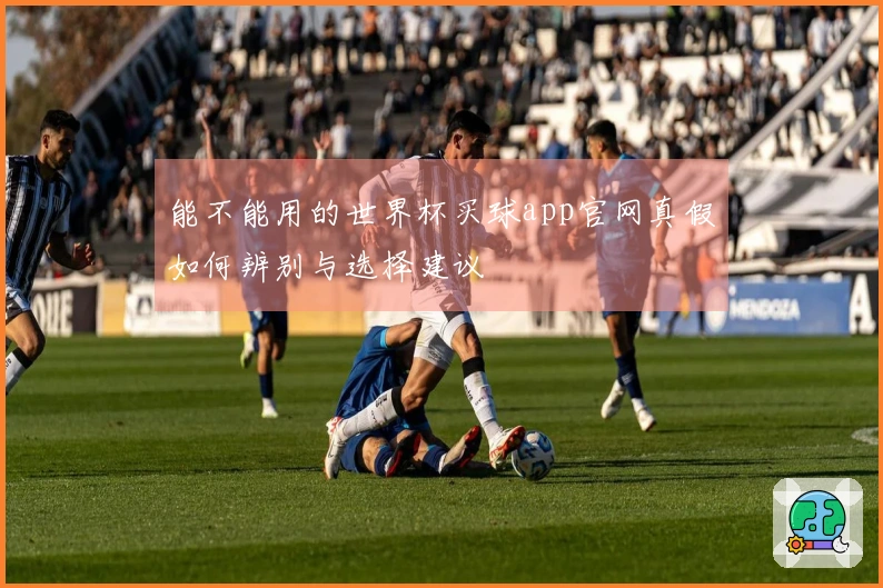 能不能用的世界杯买球app官网真假如何辨别与选择建议