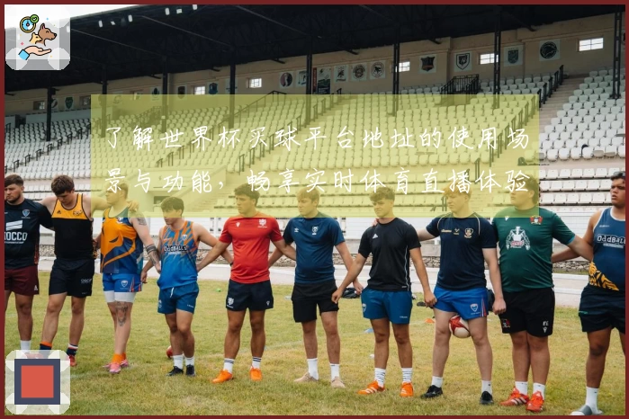 了解世界杯买球平台地址的使用场景与功能，畅享实时体育直播体验