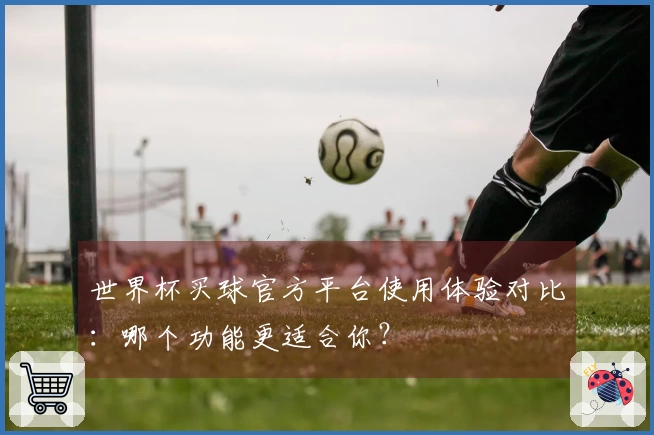 世界杯买球官方平台使用体验对比：哪个功能更适合你？